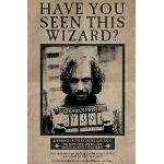 Flerfärgade Harry Potter Sirius Black Posters 