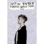 empireposter Purpose Tour Poster Justin Bieber Pop