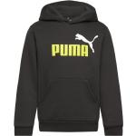 Svarta Huvtröjor från Puma Ess 