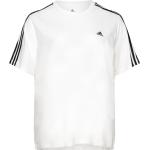Vita Kortärmade T-shirts stora storlekar från adidas Sportswear 
