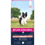 Eukanuba Senior Small & Medium Breed Lamb & Rice - 12 kg