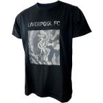 Svarta Liverpool FC T-shirts i Storlek L i Bomull för Herrar 