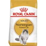 Torrfoder till katter från Royal Canin Adult 