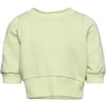 Gröna Sweatshirts för barn från Grunt 
