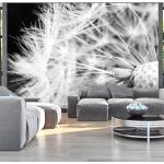 Fototapet - Black and white dandelion - 150x105