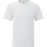 Vita T-shirts stora storlekar från Fruit of the Loom i Storlek M i Bomull för Herrar 