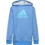 Blåa Tränings hoodies från adidas Sportswear 