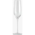 Champagneglas från Nordal 4 delar i Glas 