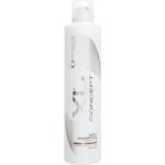 Grazette XL Concept Creative Dry Shampoo 300 ml