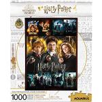 Harry Potter 65384 filmaffischer collage 1000 bita