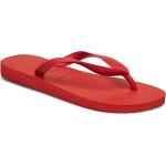 Hav. Top Shoes Summer Shoes Sandals Flip Flops Red Havaianas