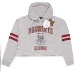 Gråa Harry Potter Hogwarts Tränings hoodies på rea i Storlek XXL i Polyester för Damer 