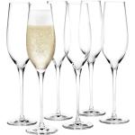 Konjakbruna Champagneglas från Holmegaard Cabernet 6 delar i Glas 