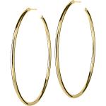 Hoops Earrings Gold Large Accessories Jewellery Earrings Hoops Gold Edblad