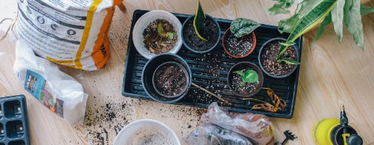 Ett planteringsbord med flera små krukor och tillbehör på