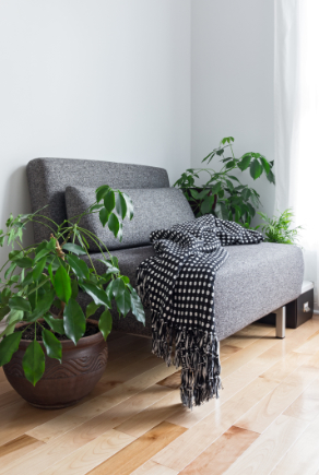 Grå soffa sedd från sidan med en filt samt växter på vardera sida