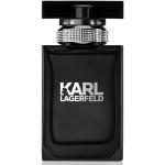 Eau de toilette från Karl Lagerfeld med Äpple med Träiga noter 100 ml för Damer 