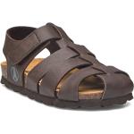 Kelly Shoes Summer Shoes Sandals Brown Axelda