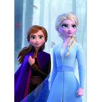 Flerfärgade Frozen Elsa Fotoposters från Komar 