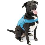 Blåa Hundselar från PetSafe 