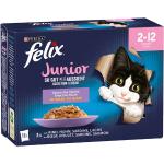 Mat till kattungar från PURINA FELIX 