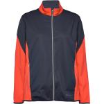 Lds Dornoch Softshell Hybrid Jacket Sport Sport Jackets Multi/patterned Abacus