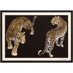 Leopard-mönstrade Svarta Bordstabletter från Dolce & Gabbana 36 delar 