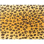 Leopard-mönstrade Gula Löpare 