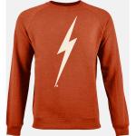 Bruna Sweatshirts från Lightning Bolt i Fleece för Herrar 