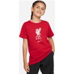 Röda Liverpool FC Kläder från Nike 