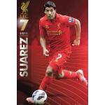 Flerfärgade Liverpool FC Posters från Empire Merchandising 