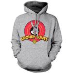 Looney Tunes Distressed Logo Hoodie, Hoodie