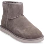 M Classic Mini Shoes Boots Winter Boots Grey UGG