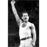 Malerifabrikken - Poster Freddie Mercury - Svart - 50X70