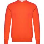 Orange Kashmir tröjor i Storlek S för Herrar 