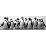 Marina Cano Kapstaden pingviner kanvas, flerfärgad