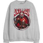 Marvel Antman - Antman Circle MeantMMSW012 sweatsh