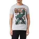 Marvel Hulk Rage T-shirt för män, Grå (gråmelerad