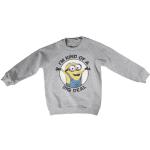 Dumma Mej Minioner Sweatshirts för barn 