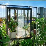 Miniväxthus från Juliana Gewächshaus i Glas 