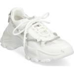 Vita Låga sneakers från Steve Madden i storlek 36 