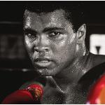 Muhammad Ali kanvastryck, polyester, flerfärgad, 4