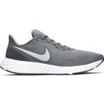 Nike Nike M Revolution 5 Löparskor Cool Grey/Pure PLA Cool grey/pure pla