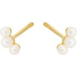 Ocean Pearl Earsticks Accessories Jewellery Earrings Studs Multi/patterned Pernille Corydon
