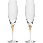 Orrefors Intermezzo Champagne-glas, guld, 2 st