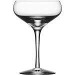 Vita Champagneglas från Orrefors More 4 delar i Glas 