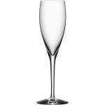 Champagneglas från Orrefors More 4 delar i Glas 