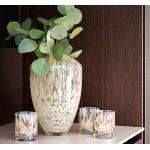Vita Vaser från Newport Collection i Glas 