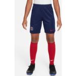 Blåa Paris Saint-Germain Matchställ fotboll från Nike på rea 