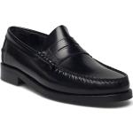 Pb1072 Loafers Låga Skor Black Playboy Footwear